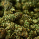 Illustration for article titled Cannabis Is Getting More Popular, Especially Among People With Depression